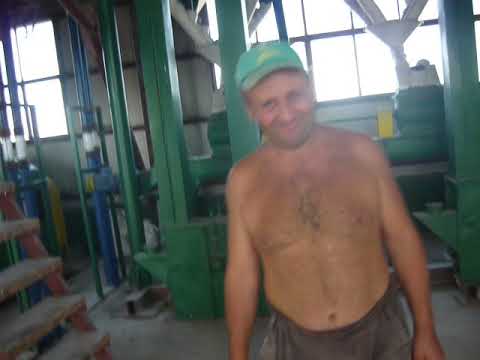 Flour Mill for sale in Vultureni-Braila county, Romania