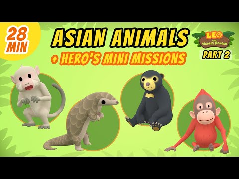 Asian Animals (Part 2/7) - Junior Rangers and Hero's Animals Adventure | Leo the Wildlife Ranger