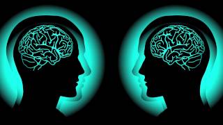 Are Human Beings Robots? | Interview with Dr. Rupert Sheldrake