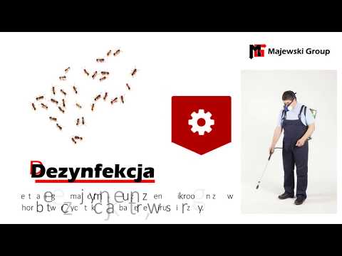 Zobacz filmy filmy
