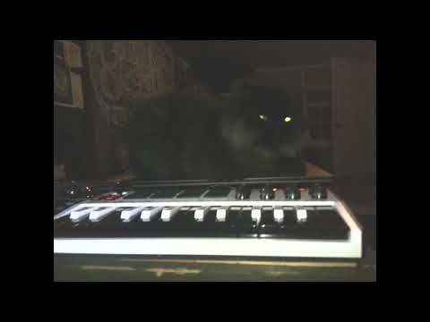 DJLILROD PRESENTS: Jackson Richard Kaiser - ibeenthinkinboutu