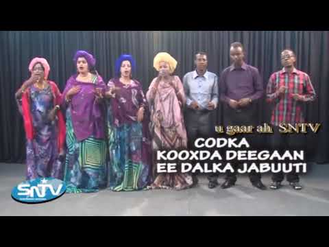 Hees wadani ah duufaanada dhacaayiyo idin cune dhurwaayadu