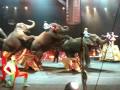 Fresno Circus Finale 7 3 09