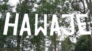 preview picture of video 'Hawajskie klimaty w Konopnicy'