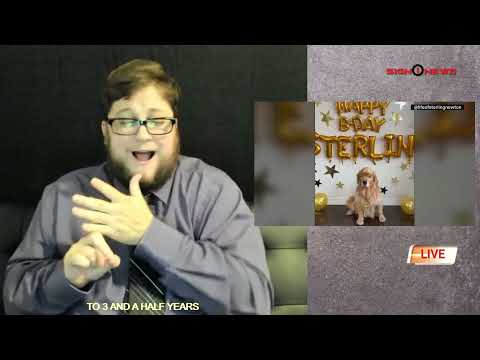 Adorable dog become social media star (ASL+Audio)