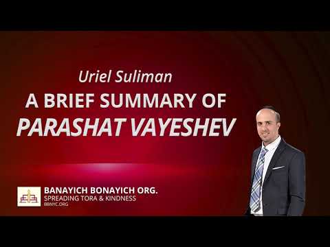 Uriel Suliman-Brief Summary of Parashat Vayeshev