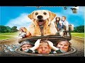 Diamond Dog - FILM COMPLET en Français