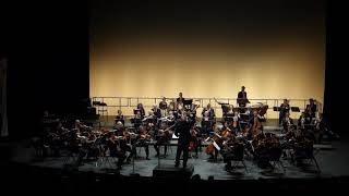 Ludwig van Beethoven – Ouverture d’Egmont (Symphonique)