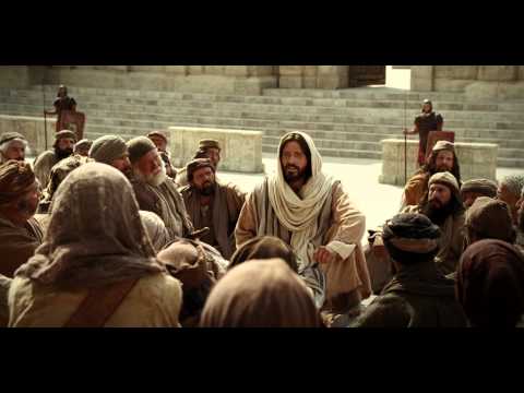 Der gute Hirt – ich habe noch andere Schafe