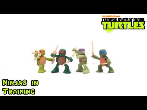 Video Review of the 2012 Teenage Mutant Ninja Turtles: Ninjas in Training