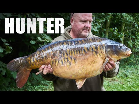 Jim Shelley - Hunter Pt.12 - NEW BEGINNINGS! LIVE NOW!