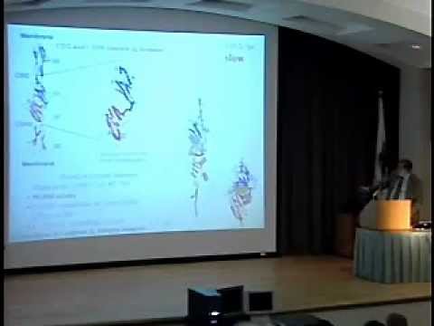 TCBG Summer School 2003: Steered Molecular Dynamics of Proteins - Mechanical Proteins