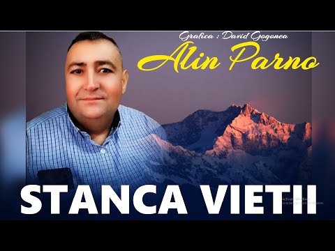 ALIN PARNO 🔴 STANCA VIETII -  ( COVER )