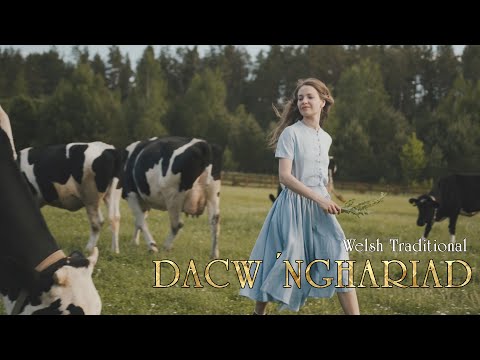 Dacw 'Nghariad -  Welsh Folk Song - Lyrics Video