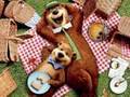 Yogi Bear Movie Trailer Justin Timberlake Voices Boo Boo