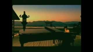 Keiko Matsui - Wildflower.avi