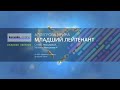 Ирина Аллегрова Младший лейтенант Karaoke Version