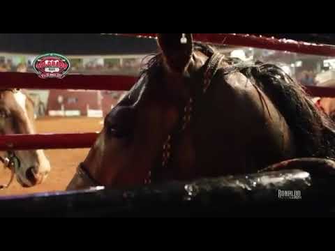 CHEIRO DE MALÍCIA x Zezinho Mariano !!!