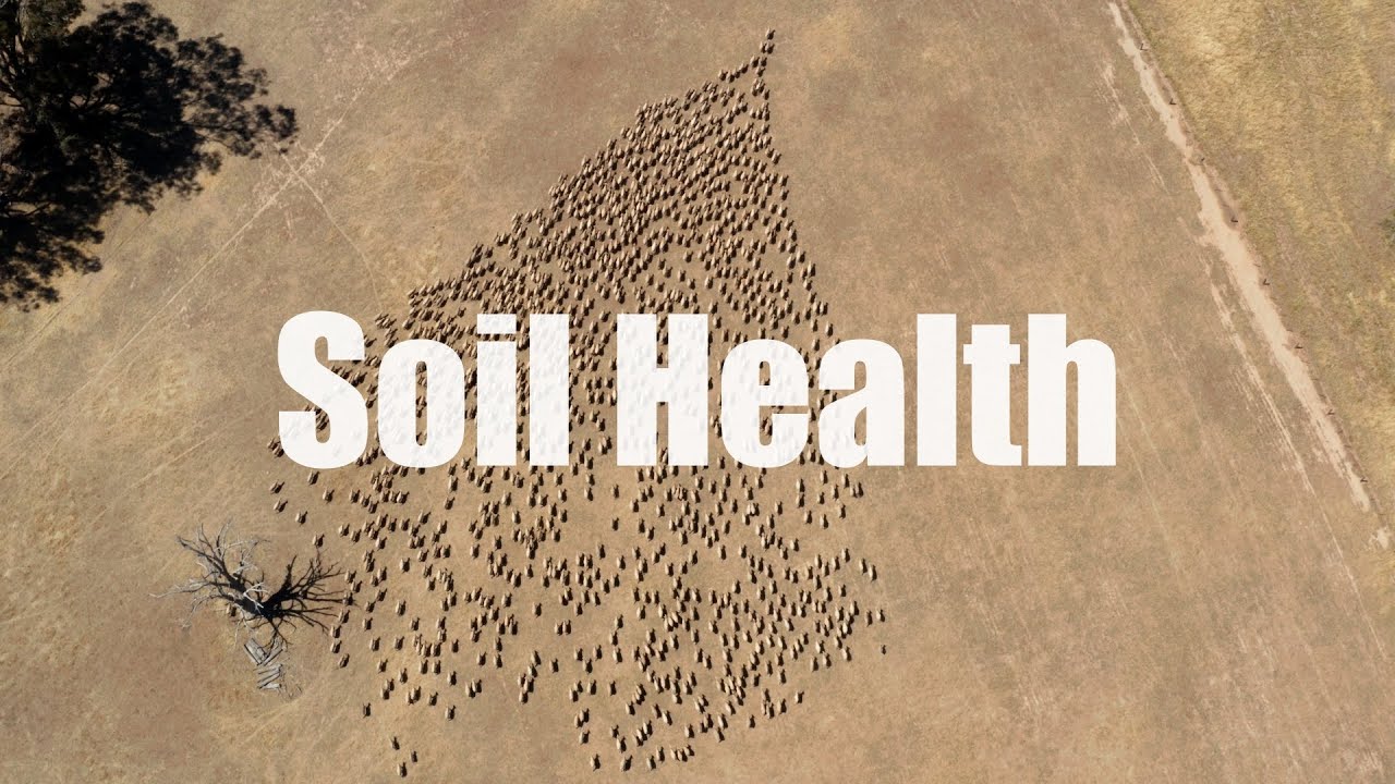 Healthy Hectares - Soil Health