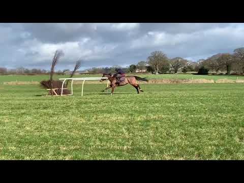 Schooling 11/02/2020