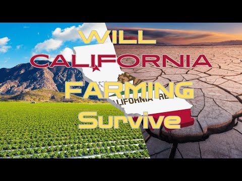 California Farmers Face Impossible Choices