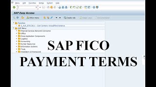 SAP FICO PAYMENT TERMS - BASELINE DATE -  APP - DISCOUNT CALCULATION