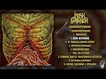 Flesh Grinder Biacromioxifopubiano FULL ALBUM 2025 Goregrind Death Metal