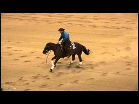 Electrinicki and Jordan Larson 2015 High Roller Reining Open Derby Champions Score 232