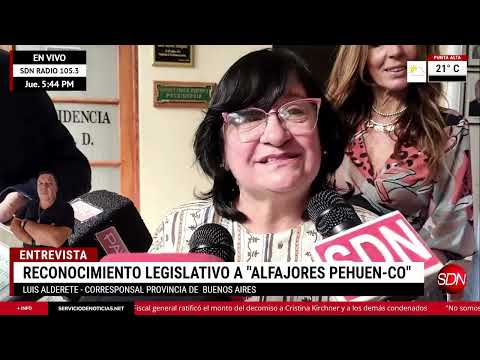 Reconocimiento legislativo a "Alfajores Pehuén-co" - Móvil Luis Alderete