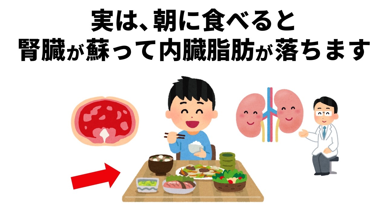 【朝が最強】腎臓が蘇り内臓脂肪が落ちる朝の食べ物