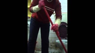 Download lagu Gosek wc mp3 Download lagu Gosek wc mp3