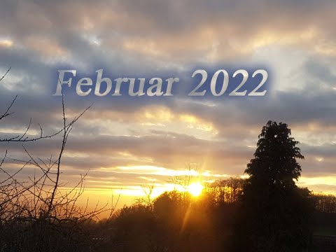 Skorpion Februar 2022 Voller Tatendrang