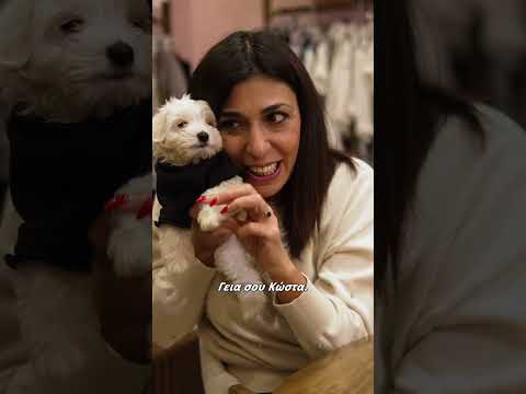 Πως να τον πούμε?😆😊🥰 #comedy #humor #standupcomedy #funny #sketch