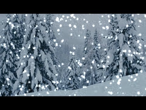 [10 Hours] Snow Falling on Pine Trees - Video & Audio [1080HD] SlowTV