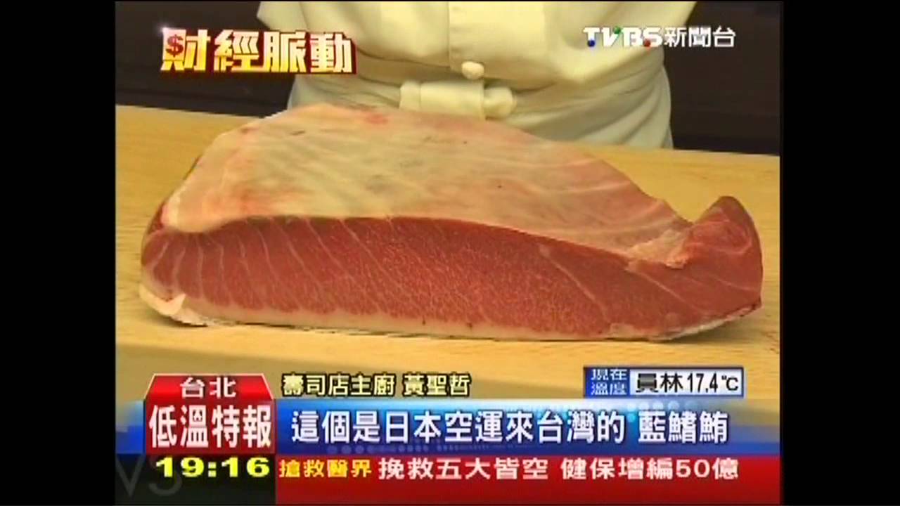 「馬鞍」造型壽司吸睛 「藍鰭鮪」空運搶鮮