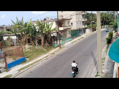 ¡LEO de CUBA 🇨🇺 Regla la Habana