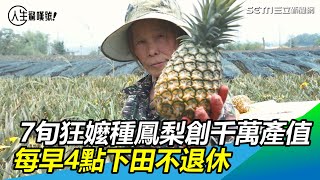 7旬嬤鳳梨創千萬產值　每早4點下田不退休