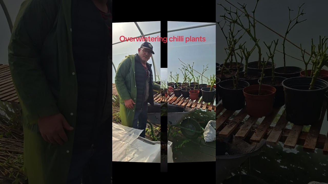 Plot to Plate Parr 10th Oct 2026