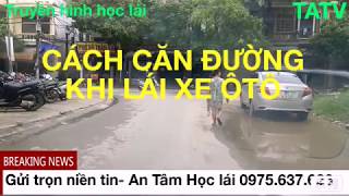Cách căn đường khi lái xe ô tô Cách căn đường khi lái xe ô tô