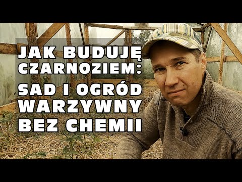 How I Build Black Soil, Part 3: Orchard and Garden Without Chemicals