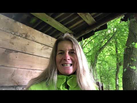 Emotional-Zentrum und emotionale Welle im Human Design