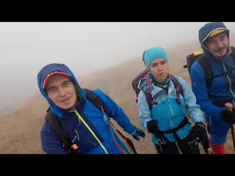 AZUGA 950 m - vf. SORICA 1566 m - vf. BAIUTUL 1817 m - saua BAIULUI - vf. BAIUL MARE 1895 m