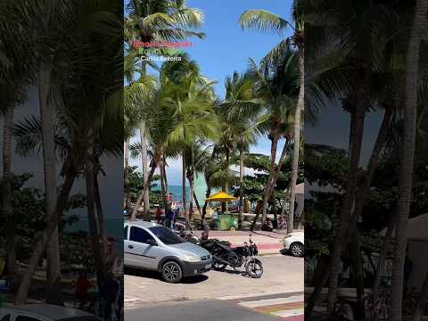 #maceioalagoas #praia #praiasdonordeste #turismo #nordeste