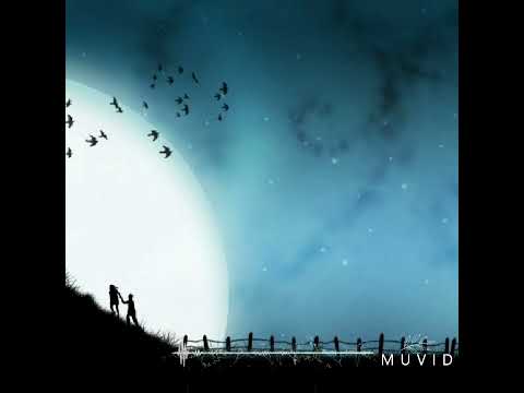 Yomel El Meloso X Kiko El Crazy x TREINTISIETE-MOLLY,PROD.LEO RD