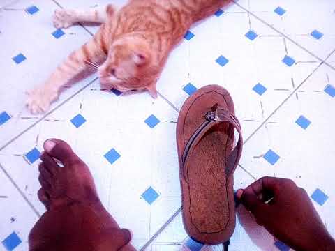 1 Hour of Angry Cat Sound - Scary