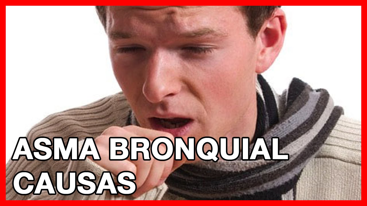 Ignacio Ceballos Martínez-2