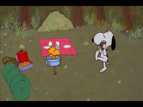 Snoopy and Woodstock Camping Scene 1