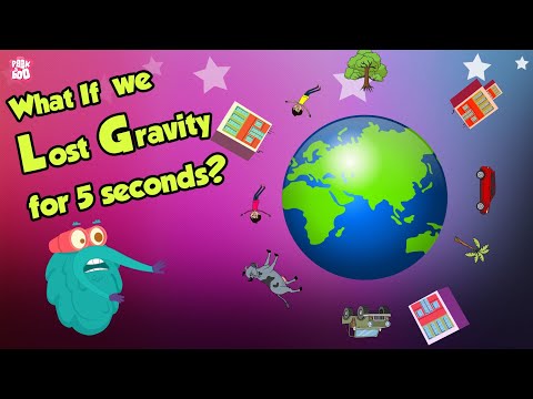 What If We Lost GRAVITY for 5 Seconds? | Gravity | Space Video | Dr Binocs Show | Peekaboo Kidz