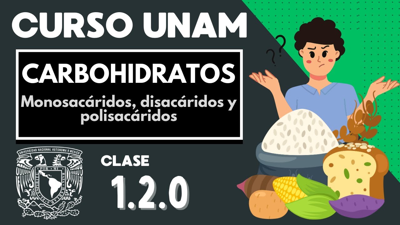 🌱 CARBOHIDRATOS | Moléculas orgánicas | CURSO UNAM | Monosacáridos, disacáridos y polisacáridos