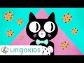 WHO TOOK THE COOKIE FROM THE COOKIE JAR Song For Kids Lingokids